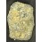 1715 Plate Fleet Shipwreck, 8 Reale Greenie, diver's hand direct from the ocean floor. Weight 25.2 grams. #1715 8R Cobb Coin Company Greenie