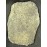 1715 Plate Fleet Shipwreck, 8 Reale Greenie, diver's hand direct from the ocean floor. Weight 25.2 grams. #1715 8R Cobb Coin Company Greenie