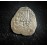  Atocha Four Reale, NV Assayer, Potosi Mint, Philip III Era, Grade III, #CH4-43-49350, COA Endorsed By Jim Sinclair.