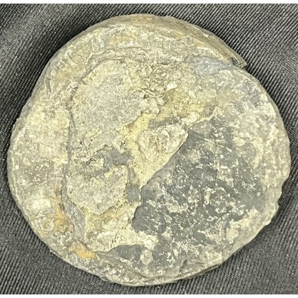 4-Coin 8 Reale Clump of El Cazador Shipwreck, Mexican Silver. Weight 57.70 grams