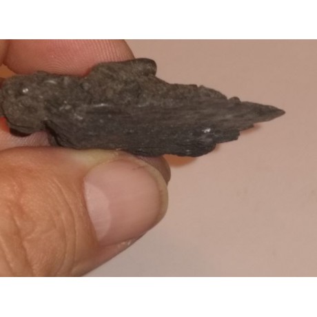 1702 Meerensteyn Shipwreck Coin Clump. 1702-1505A