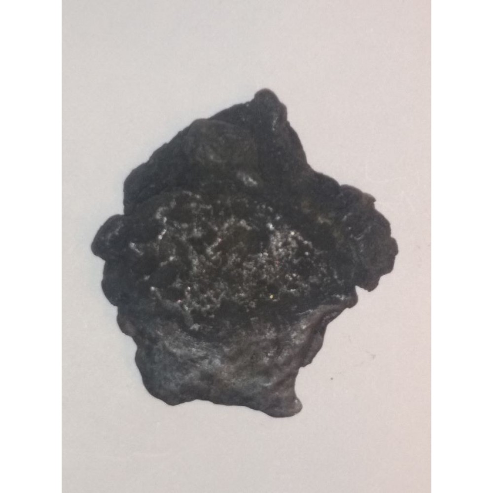 1702 Meerensteyn Shipwreck Coin Clump. 1702-1505A