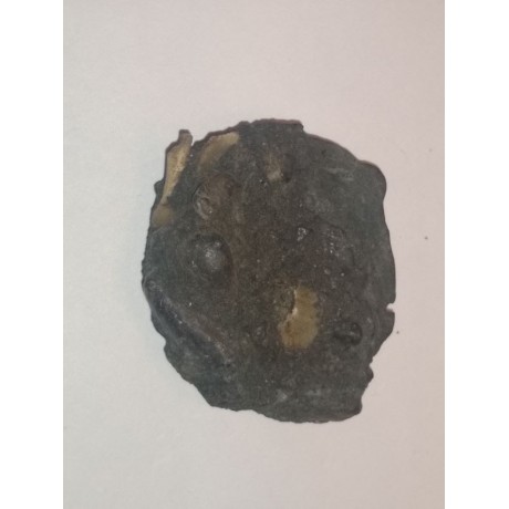 1702 Meerensteyn Shipwreck Coin Clump. 1702-1505B
