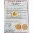 Atocha-Era Gold Two Escudo Coin Pendant in 14K Gold Bezel